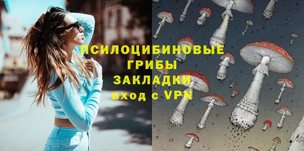 ешки Алексеевка
